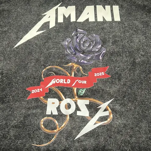 Amani Rose 2024 Acid Wash Tour Graphic Cropped TShirt Size Medium Gray