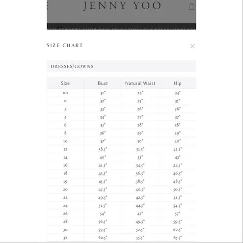 Jenny Yoo  Brenna V-Neck Waistline Satin Dress