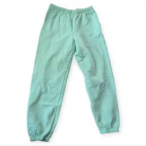 TNA Aritzia Extra Fleece Sweatpants Athleisure Influencer Mint Size Small Green