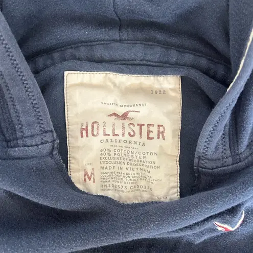 Hollister Y2K  Short-Sleeve Hoodie – Size M