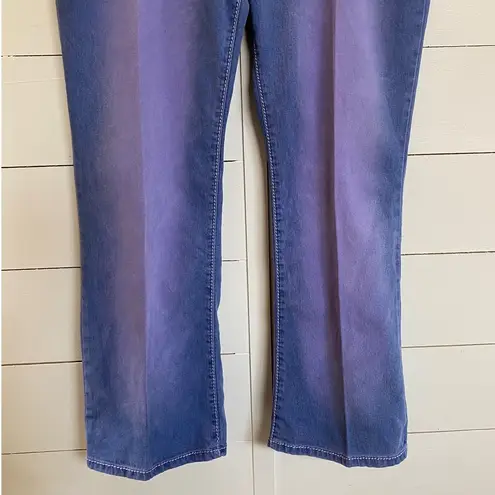 DG2 Embellished Jeans Petite 14P Purple Blue Eclectic