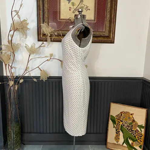 Bailey 44 White & Sheer Nude Cut Out Cocktail Dress - Sz 8 💚🎀