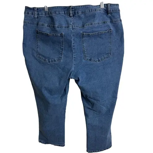 Woman Within Distressed Denim Jeans Size 22W From Bangladesh