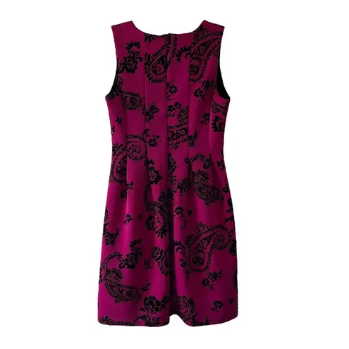 Enfocus Studio hot pink and black paisley pleated dress