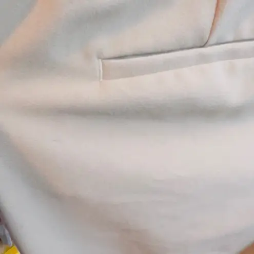 Alfani Size 4 (Minor Flaw small ink mark) Tan Wide Leg Slacks w/Faux Pockets