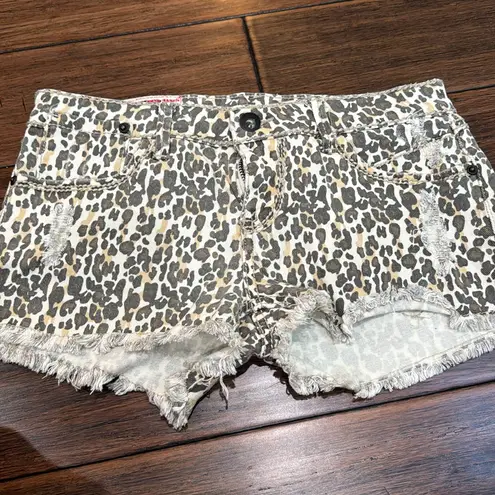 1st Kiss  Cheetah Cut-off Shorts