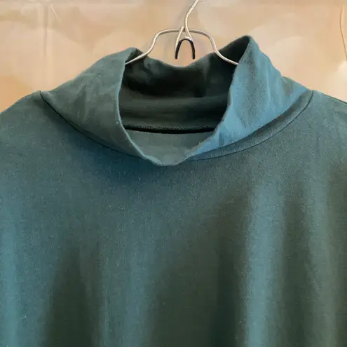 Madewell Teal Turtleneck Sweater