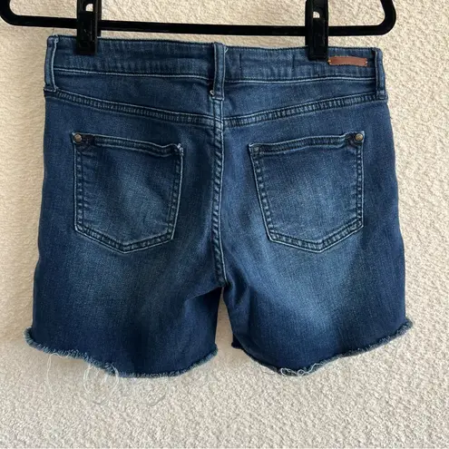 Pilcro and the Letterpress Anthropologie Women’s Denim Soft Stet Shorts Size 29