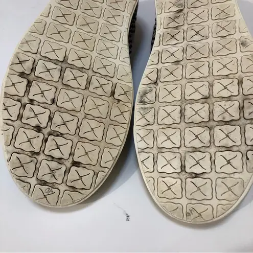 Twisted X Women's Hooey Loper