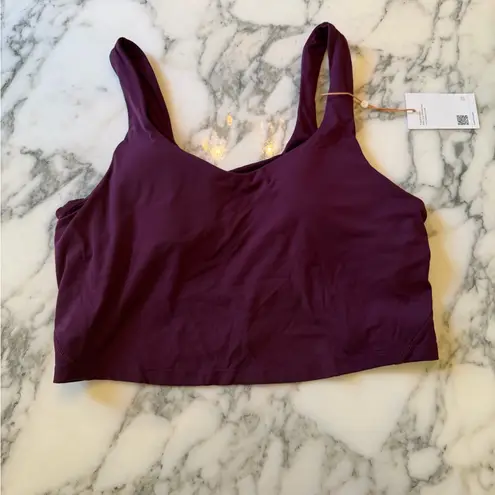 Quince NWT Women's V Neck Burgundy Sports Bra Sz XL