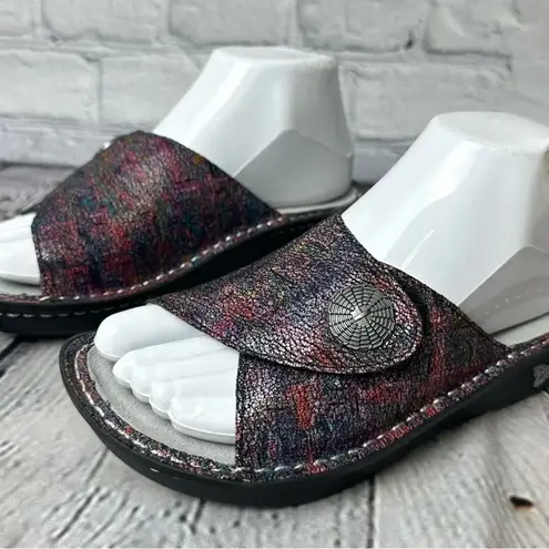 Alegria Vivica Chirpy Multi