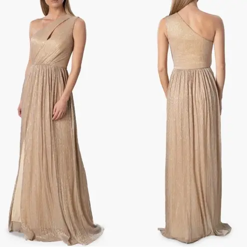 Dress the Population NWT  Kienna Gown in Pale Gold Sz Medium $248