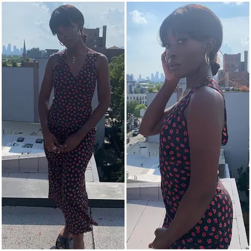 Realisation Par ๐๐ Liv Rosalita Dress ~ Black with Red Floral Print Small NWOT