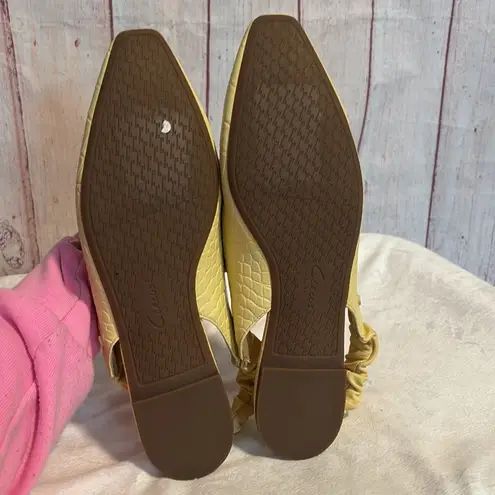 Circus by Sam Edelman Women's Omina Slingback Flat