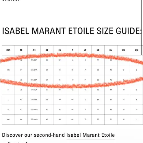 Isabel Marant Like New Silk Snakeskin Print Skirt Size XS