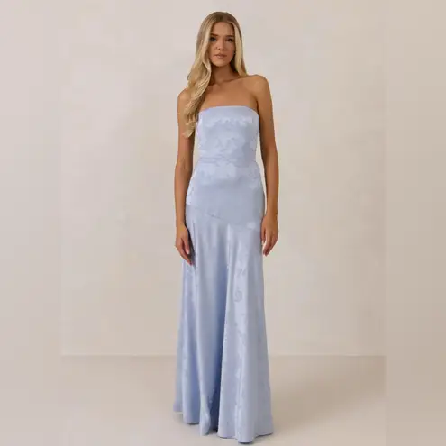 NWT Park and Fifth Delaney Dress Strapless