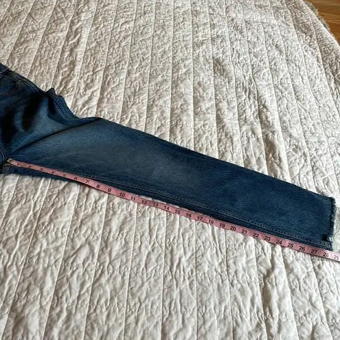 Boyish The Dempsey Jeans in Mirror 25 High Rise 0