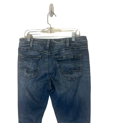 Silver Jeans Co. Women's Plus Size W 36 Girlfriend Skinny Jeans Blue