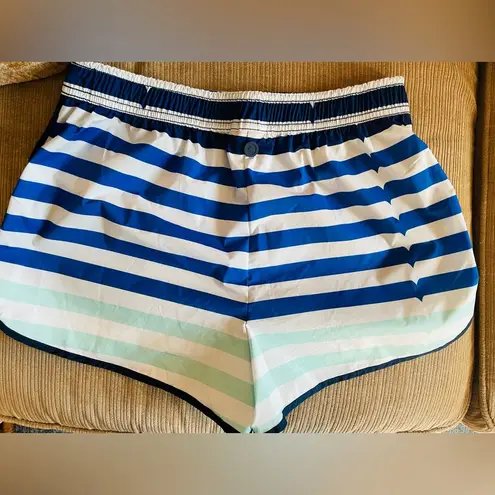 Hunter for target blue striped athletic shorts Size XS