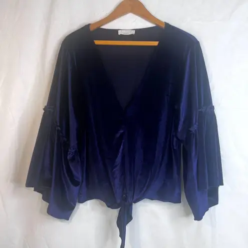 Lavender Field Velvet Vneck Statement Sleeve Blouse Tie Waist Size Medium VTG