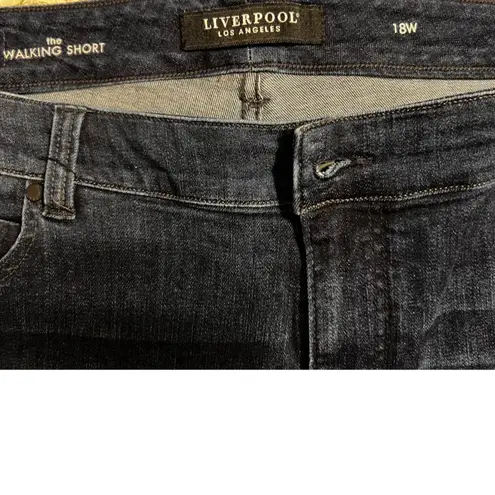 YA Los Angeles Liverpool LA The Walking Short Wom. Size 18W Dark Denim Shorts Vintage Super D