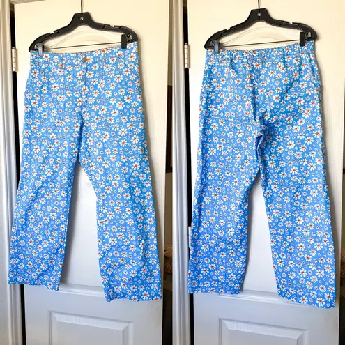 Big Bud Press Lazy Daisy Work Pants Cotton Blue Daisy Print Medium EUC