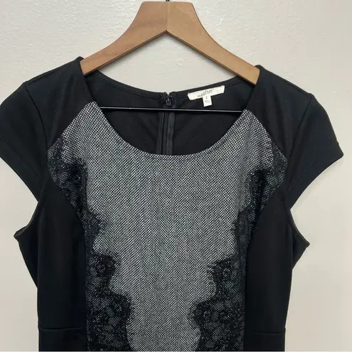 Mystree Elegant Black and Gray Lace Panel Knit Dress Cap Sleeve Large