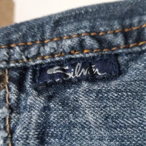 Silver Jeans Ana Denim Skirt-Size 29-Asymmetrical Seam-Raw Hem-Embroidered