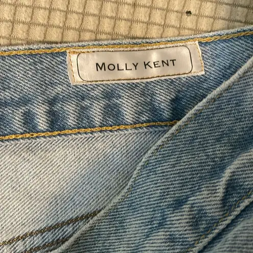 Agolde Blue Distressed Jean Shorts Size 31