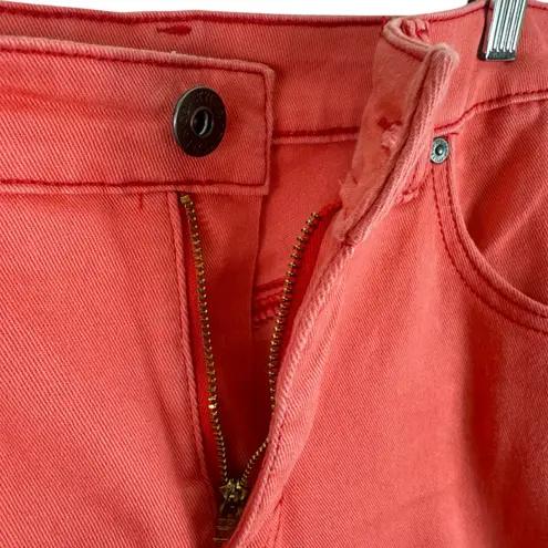Style & Co Cotton Coral Pink Cherry On Top High Rise Curvy Capri Jeans Size 12