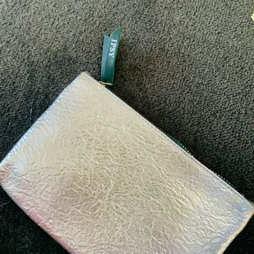 Ipsy Silver Metallic Glam Clutch Bag