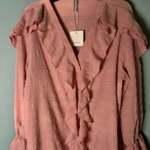 Nora Cora Long Puff Sleeve XXL Blouse V Neck Ruffle Texture Cottagecore Pink