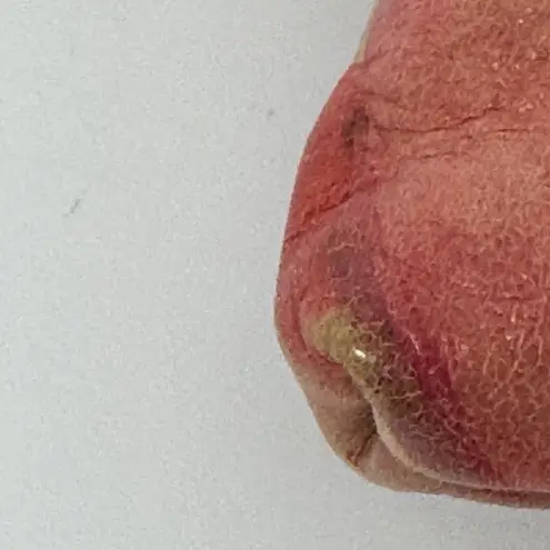 Patricia Nash Granada Floral Multicolor Crossbody