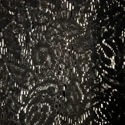 Chelsea and Violet FINAL PRICE  Women's Black Velvet Lace Top