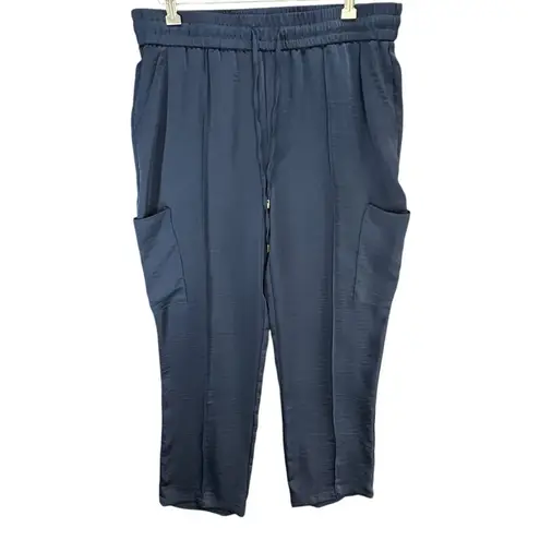 Skies Are Blue Pintuck Cargo Pants Womens L Blue Pull On Relaxed Utility Comfort