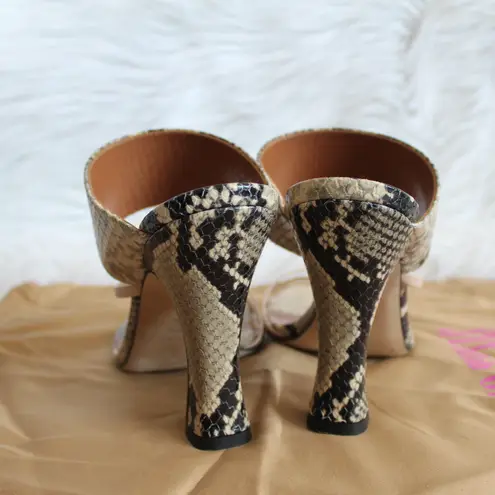 Paris Texas Python Snake