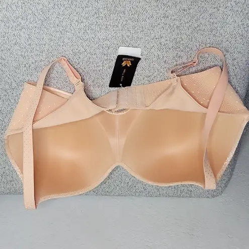 Wacoal Coral Bra with Molded Cups and Wide Straps New Size 36DD