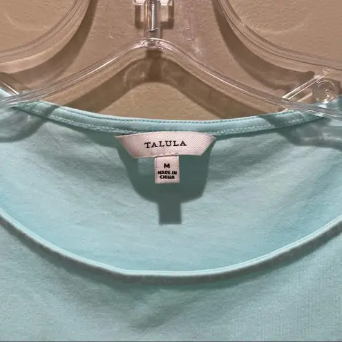 Talula Aritzia A-Line Dress with Mesh Blue Size Medium