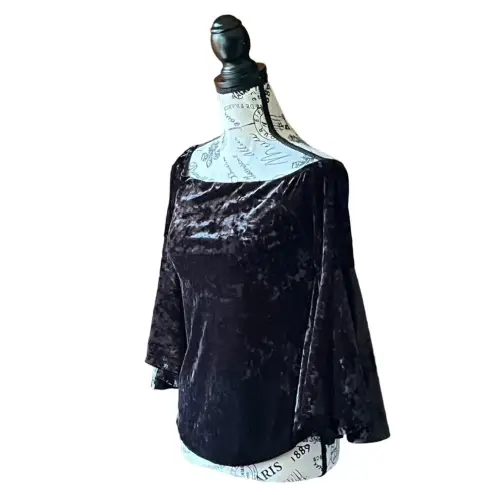 AQUA  Black Velvet Off-Shoulder Bell Sleeve Blouse XS – Goth Grunge Witchy Vampy