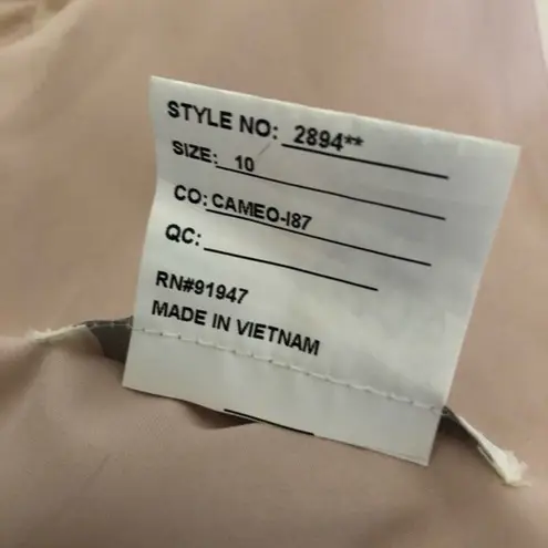 DESSY COLLECTION Vivian Diamond Gown Luxe Chiffon V Neck Size 10