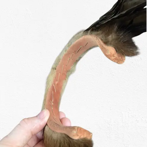 50s Vintage Mink Fur Feather Headband AB Rhinestone Accent Avant Garde Headpiece Brown