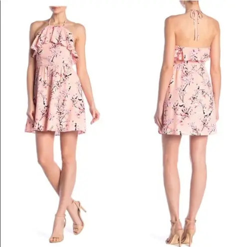 Cupcakes and Cashmere NEW Corralyn Halter Dress 0