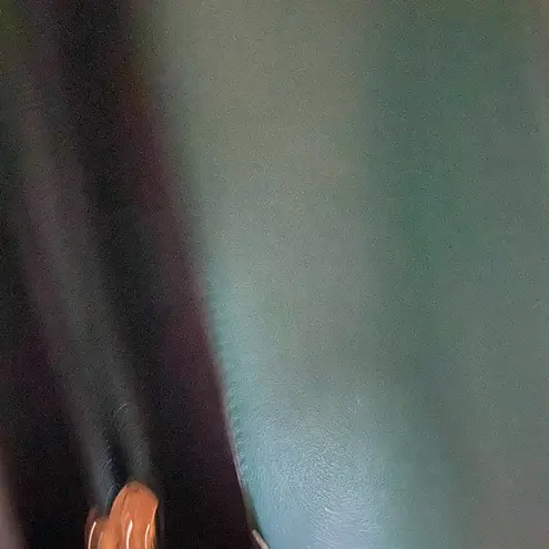 Green and gold studded crossbody