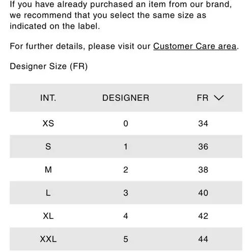 Isabel Marant Etoile Java python print asymmetric ruffle sheer mini dress sz XL