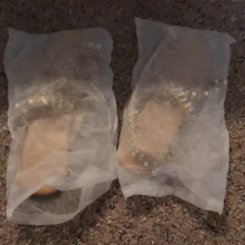 Gold & Pearl Beaded Sandals Size 9