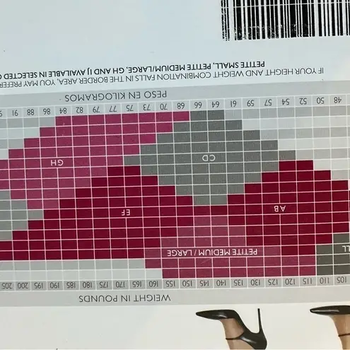 Hanes  Silk Reflections Control‎ Top Hosiery Sheer Tor Vintage Style 717 Size EF