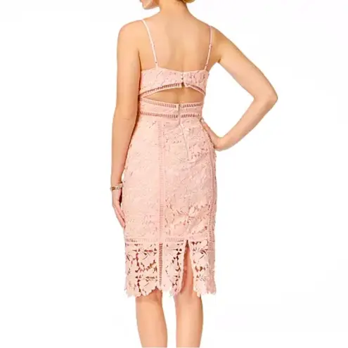 Bardot Botanica Lace Cutout Midi Dress Size 8