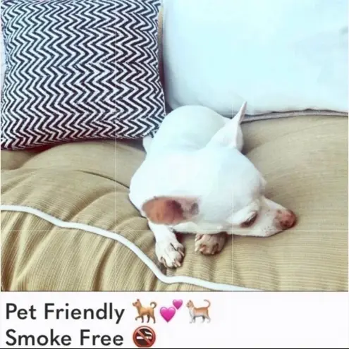 🌴 2/$12 SALE NWOT Mossimo Multi