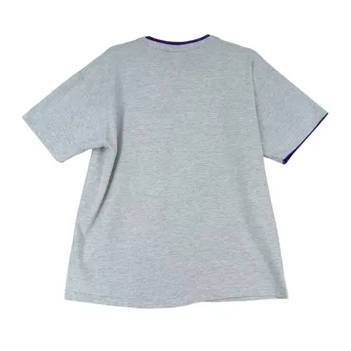 Anvil Eureka Springs Graphic T Shirt Womens Large Gray Purple Waterfall 1991