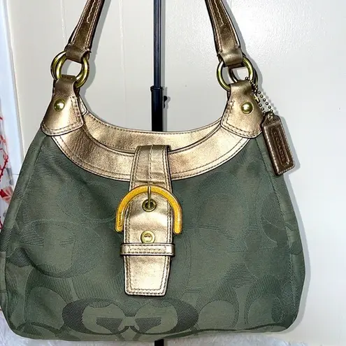 Coach Soho Lynn Hobo Bag E1151-F17396